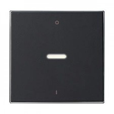 Tecla interruptor bipolar...