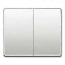 Tecla doble interruptor...