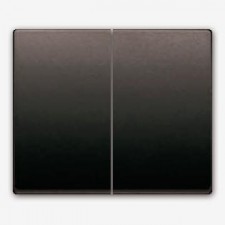 Tecla doble interruptor...