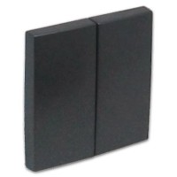 Tecla doble interruptor Efapel 90611 T IS GRIS GRAFITO