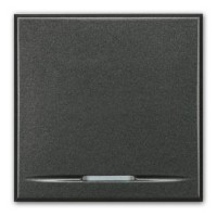 Conmutador ancho antracita de BTicino Axolute HS4053M2A basculante