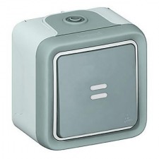 Pulsador con luminoso estanco gris 069722 Legrand