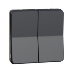 Doble conmutador estanco Schneider MUR35019 Mureva styl gris
