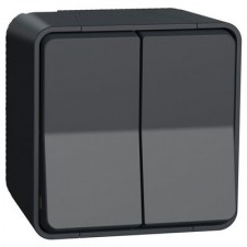 Conmutador doble estanco superficie Schneider MUR35022 Mureva Styl gris