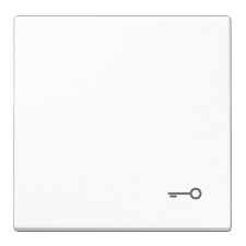 Tecla pulsador simbolo puerta serie ls990 blanco alpino jung