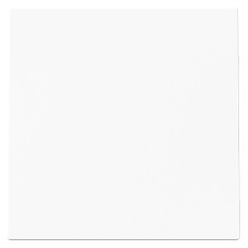 Tapa ciega Niessen 8900 BT blanco mate serie Alba